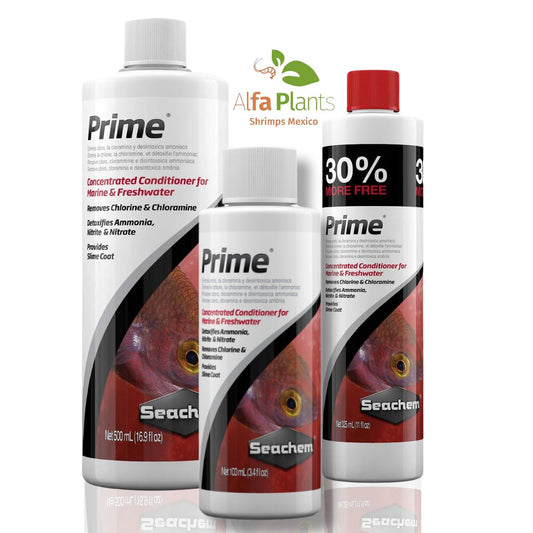 ️Prime