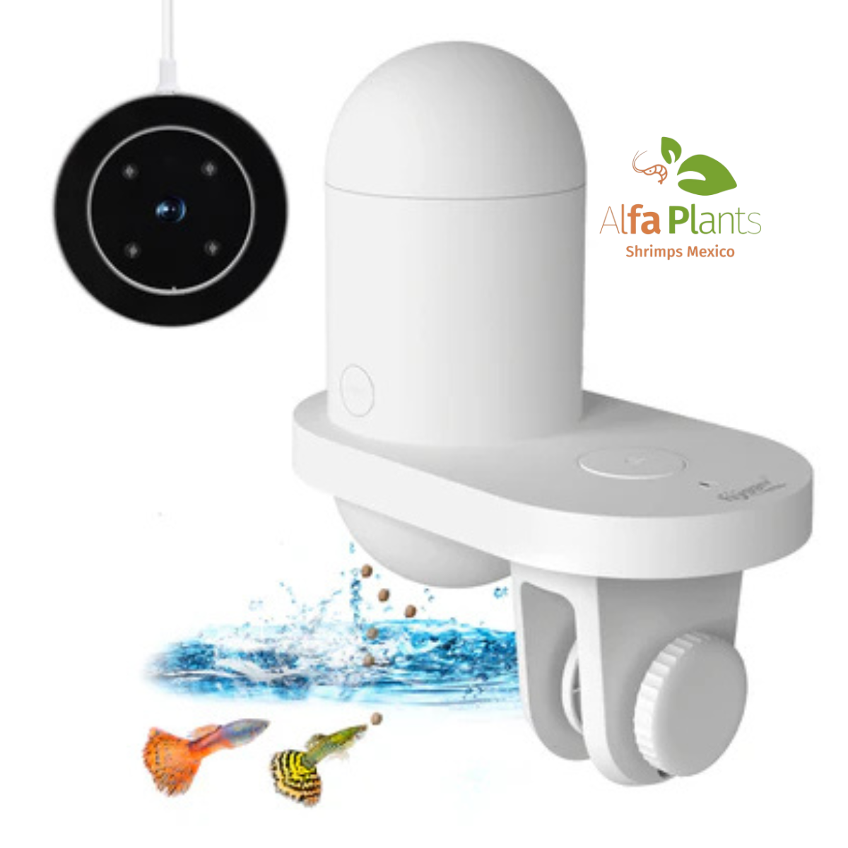 Alimentador automático Hygger