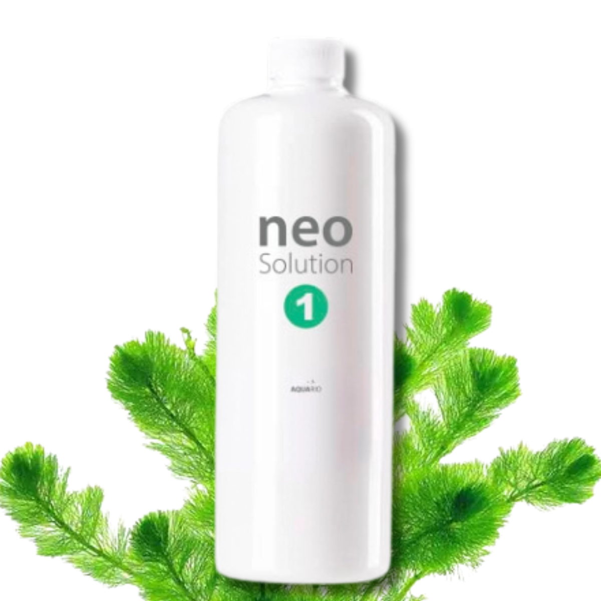 Neo Solution 1