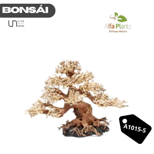 Bonsái A1015