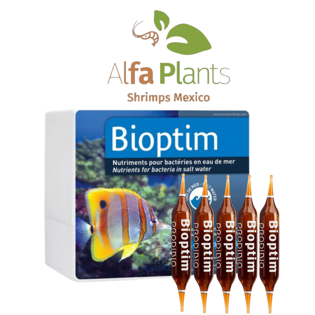 Biotim Bacteria Prodibio