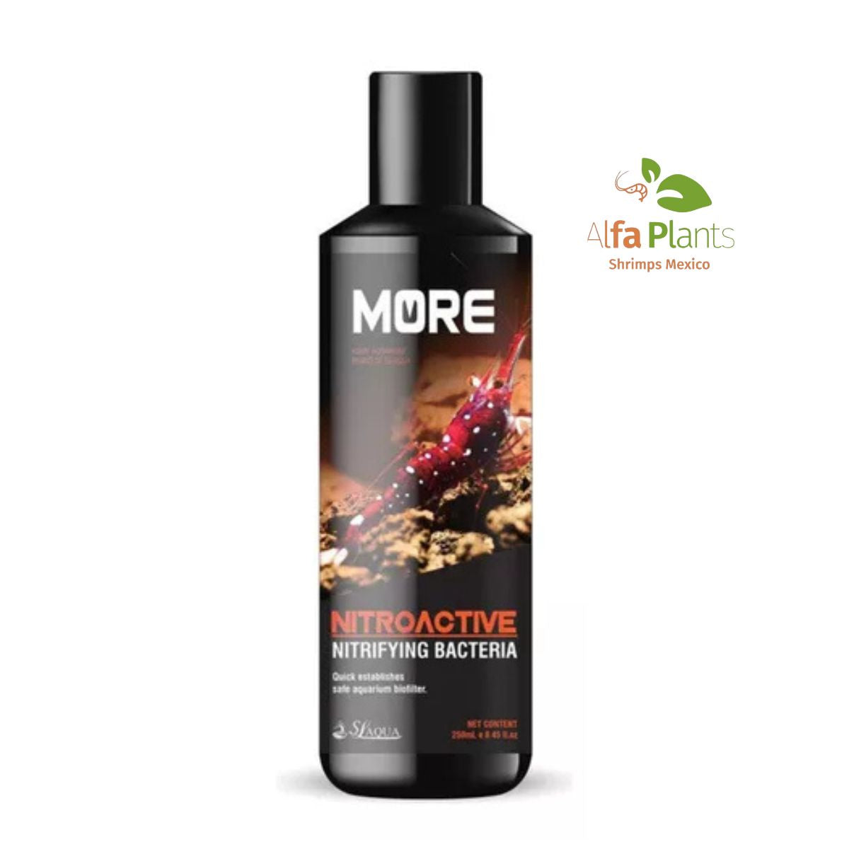 Black More Bacteria Nitrificante