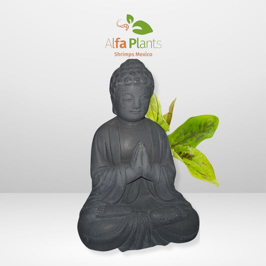 Buda chino de piedra