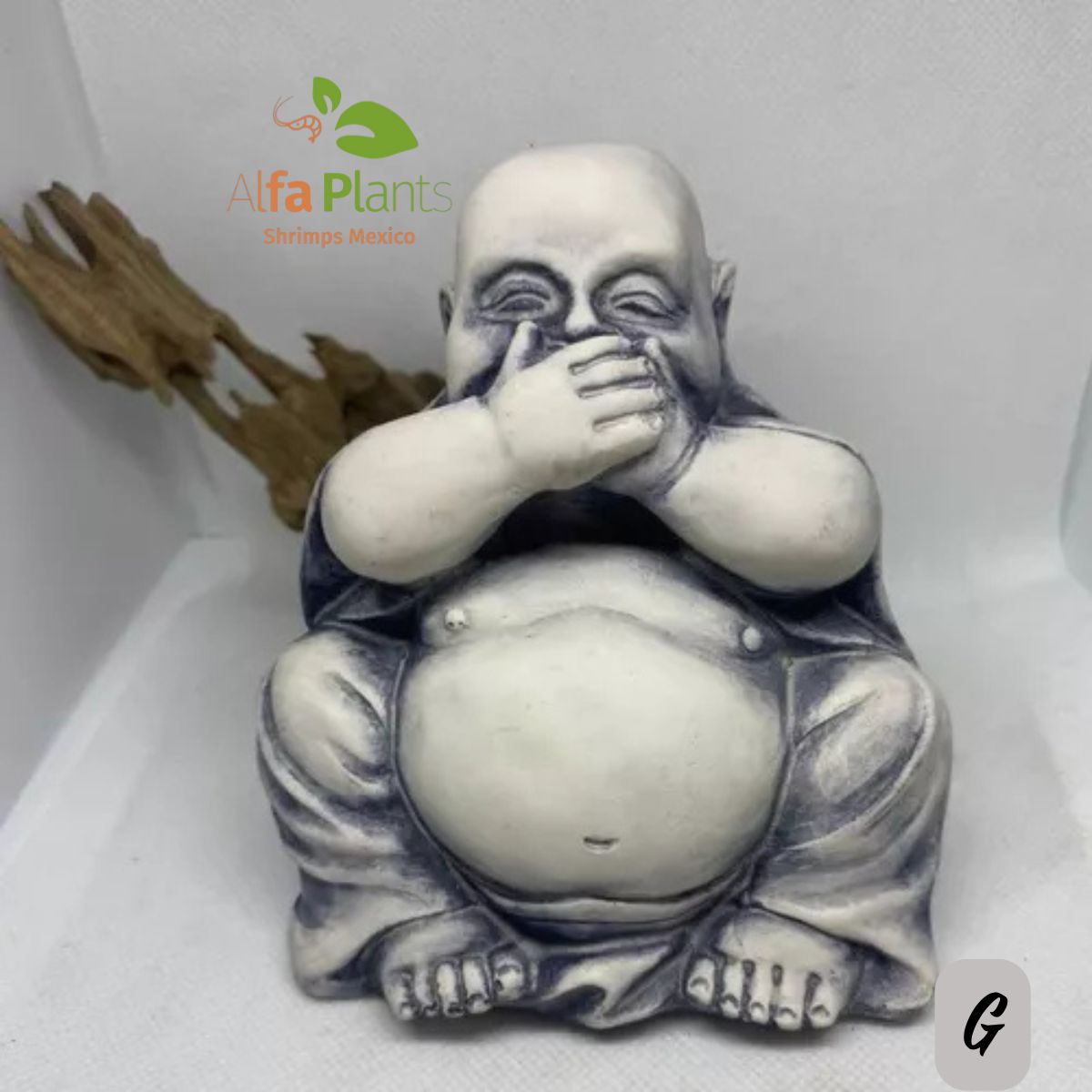 Buda en resina