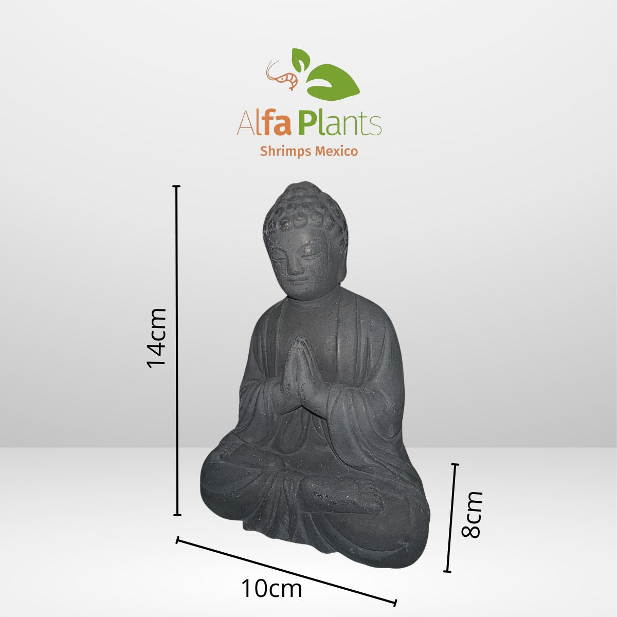 Buda chino en piedra