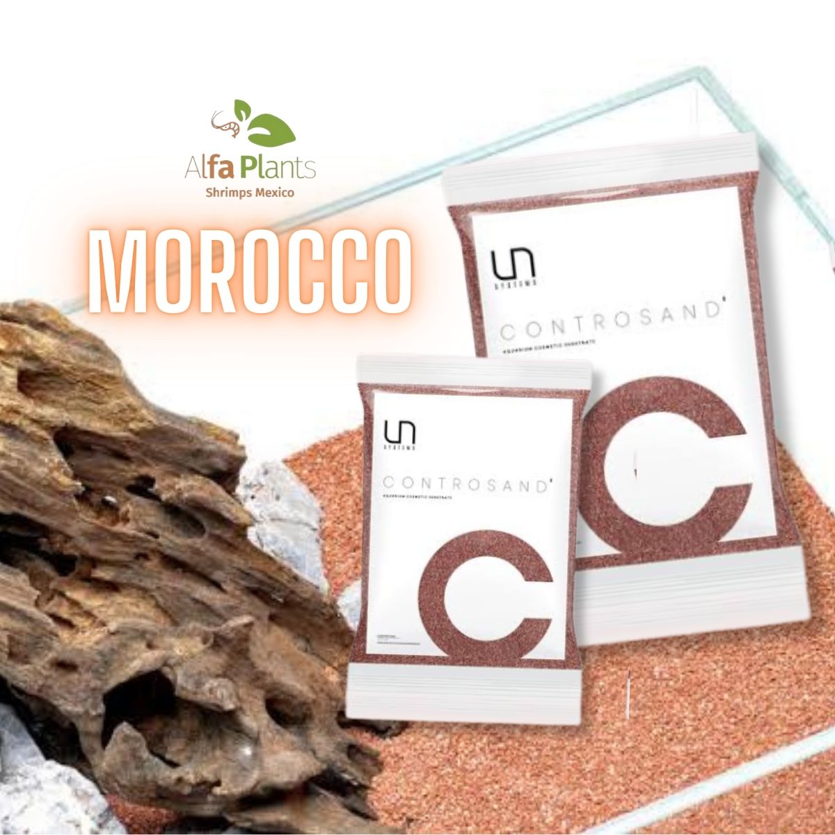 Controsand Morocco