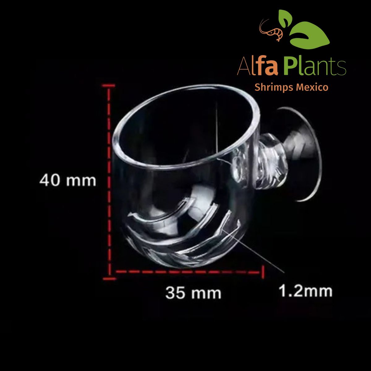 Glass Cup