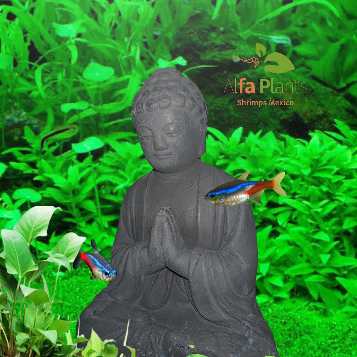 Buda chino en piedra