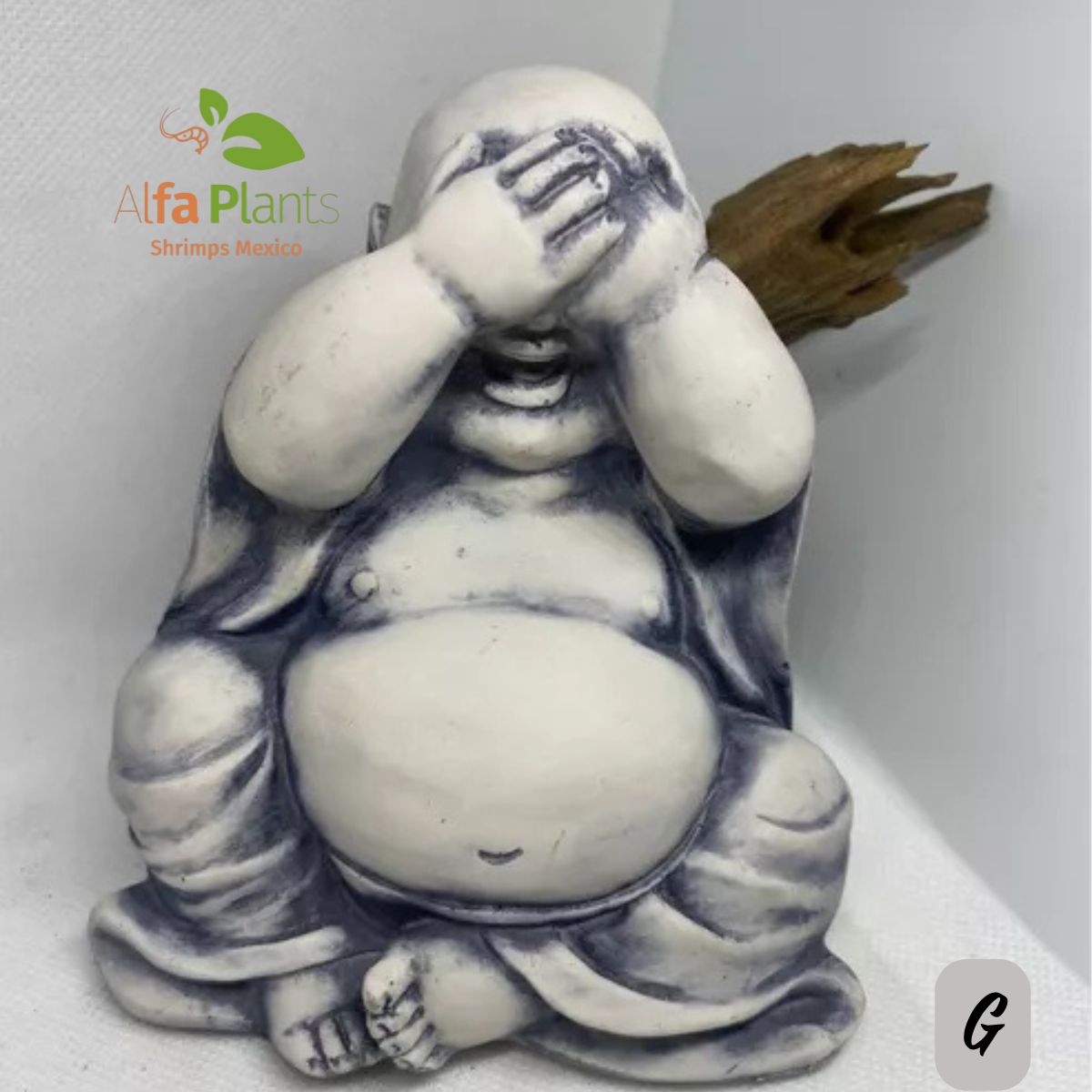 Buda en resina