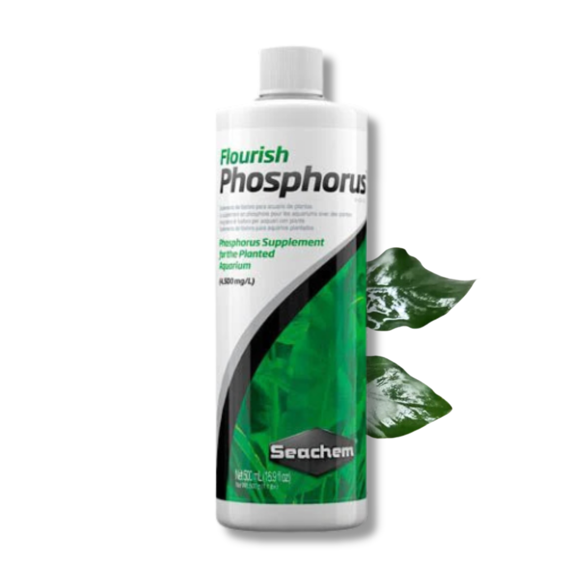 Flourish Phosphorus