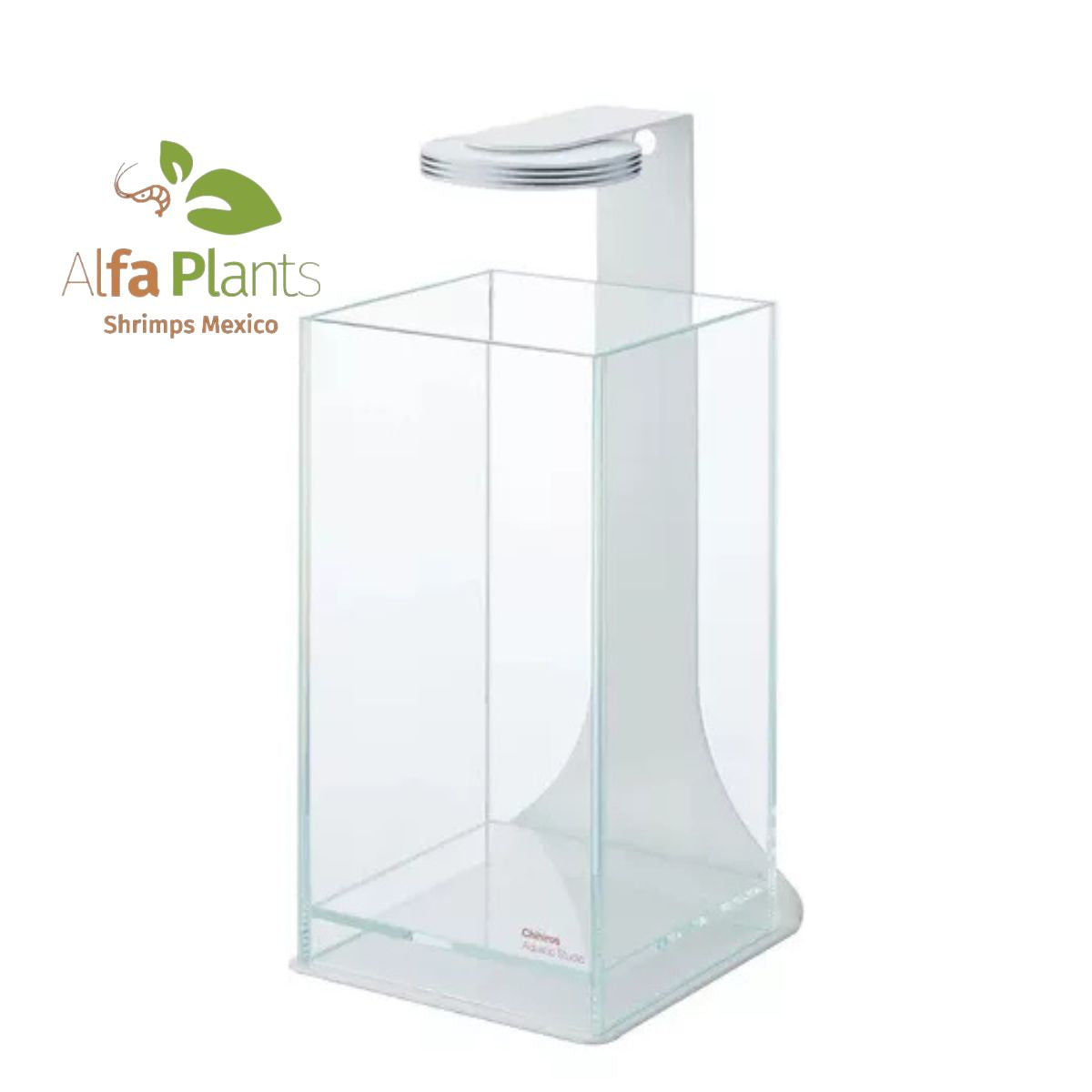 Pecera Glass Air
