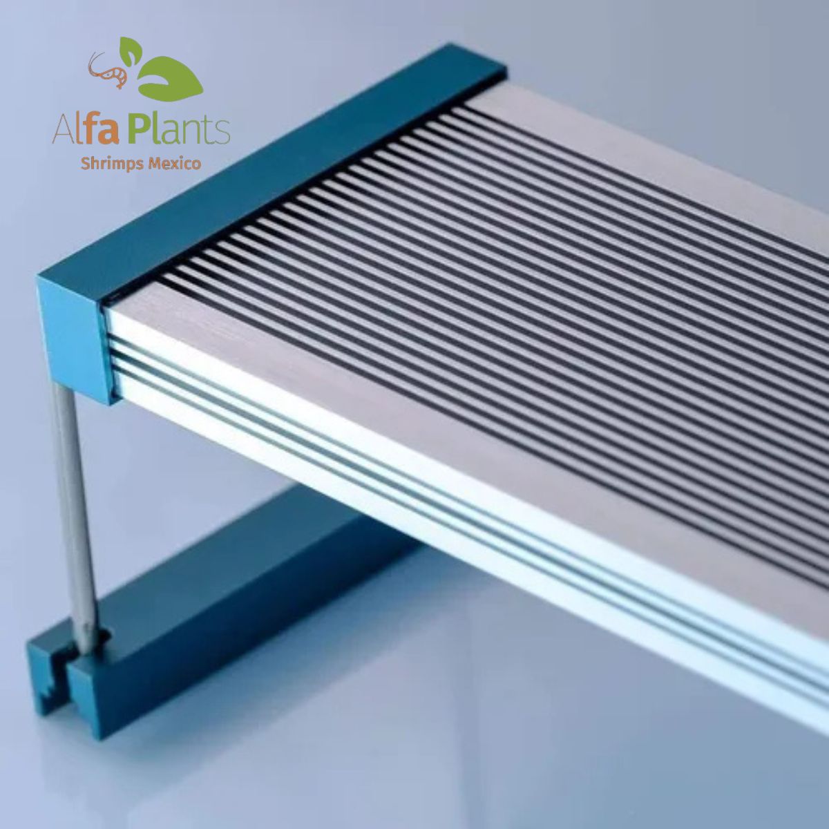 Twinstar Light III Line C