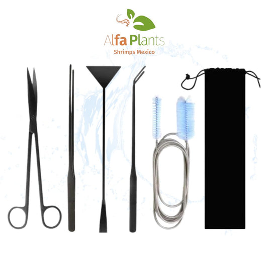 Kit de herramientas negras con cepillo