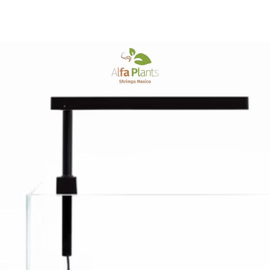 Flat Nano+ Con Base UNS