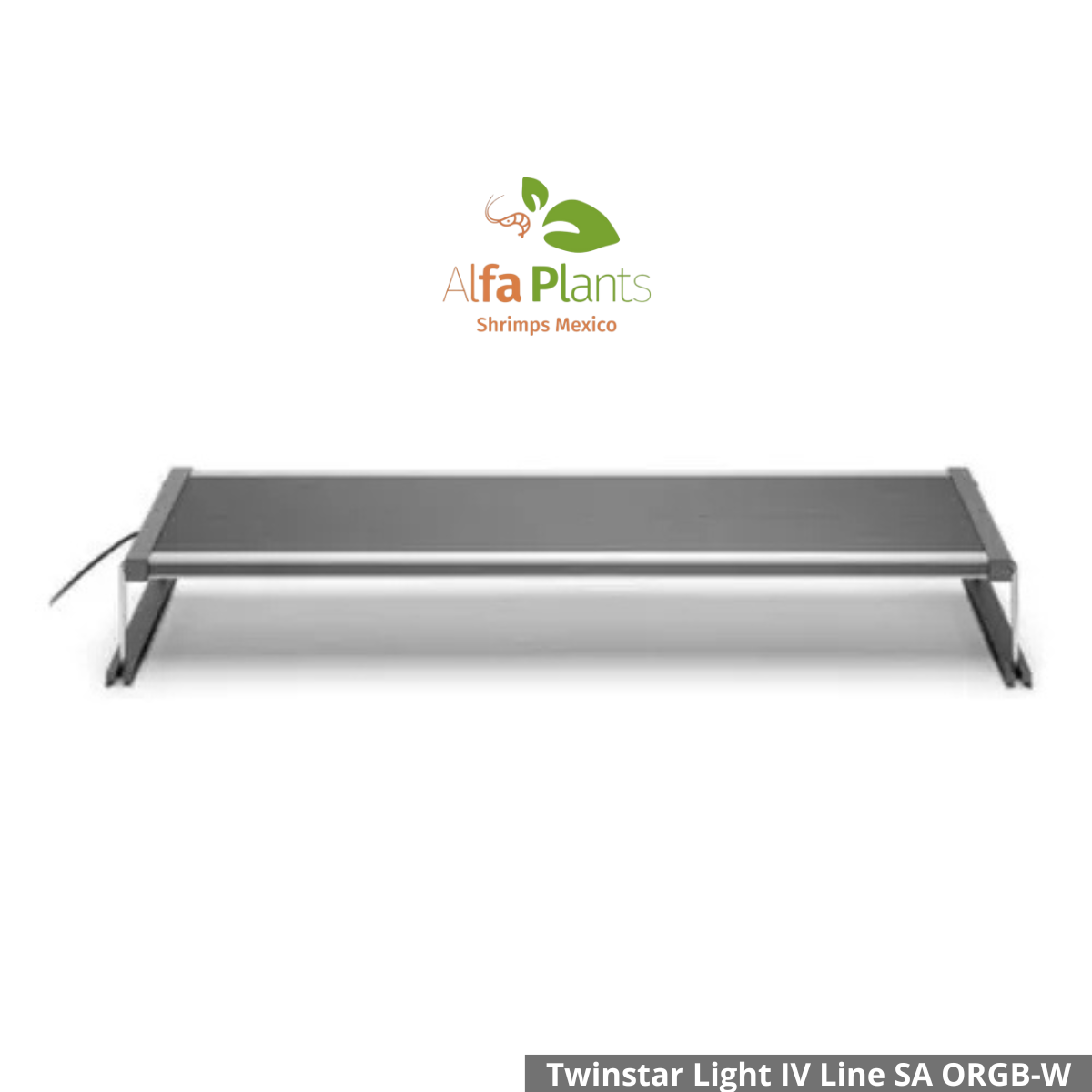 ️Twinstar Light IV Line SA ORGB-W