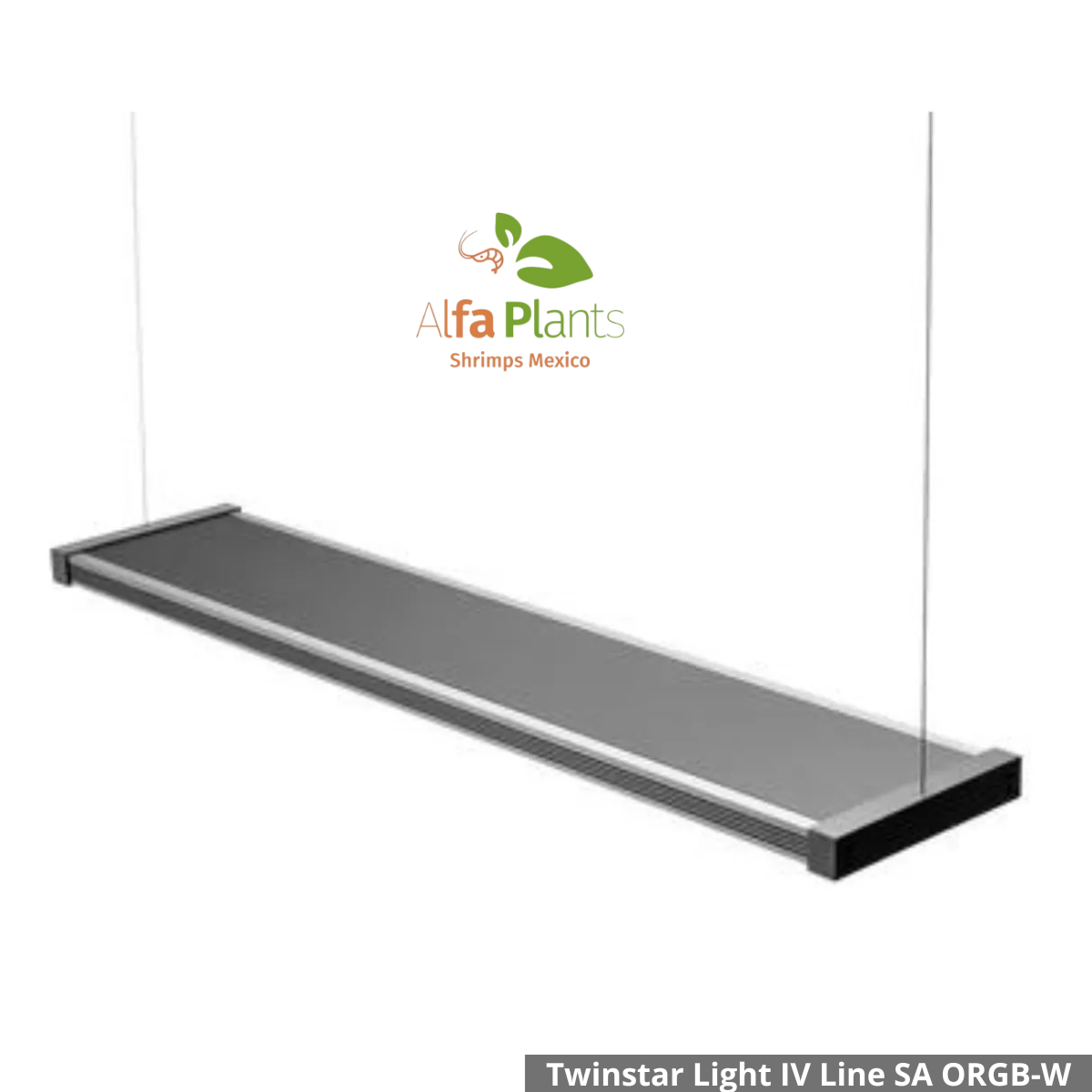 ️Twinstar Light IV Line SA ORGB-W