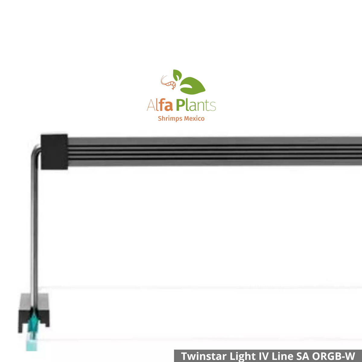 ️Twinstar Light IV Line SA ORGB-W
