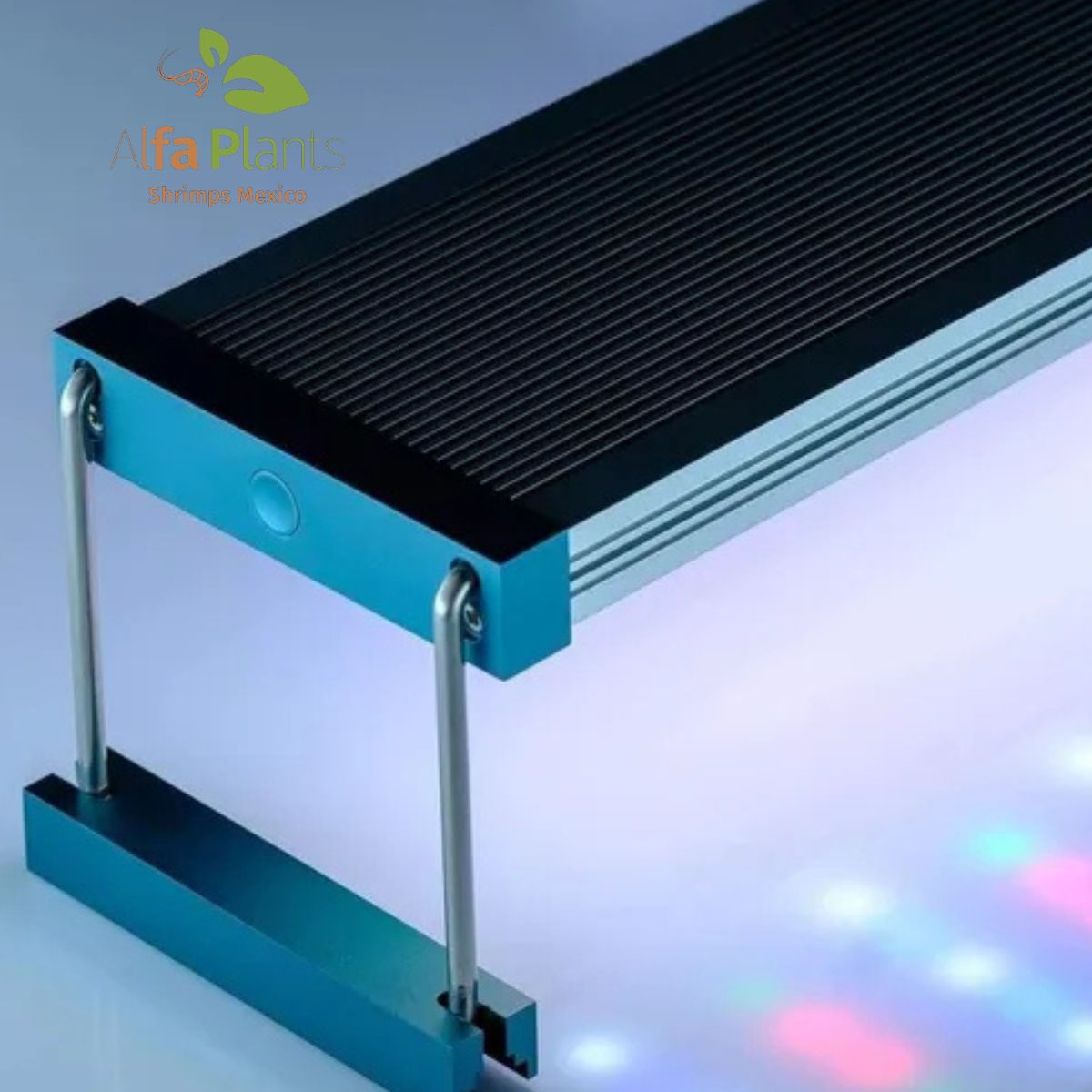 Twinstar Light III Line C