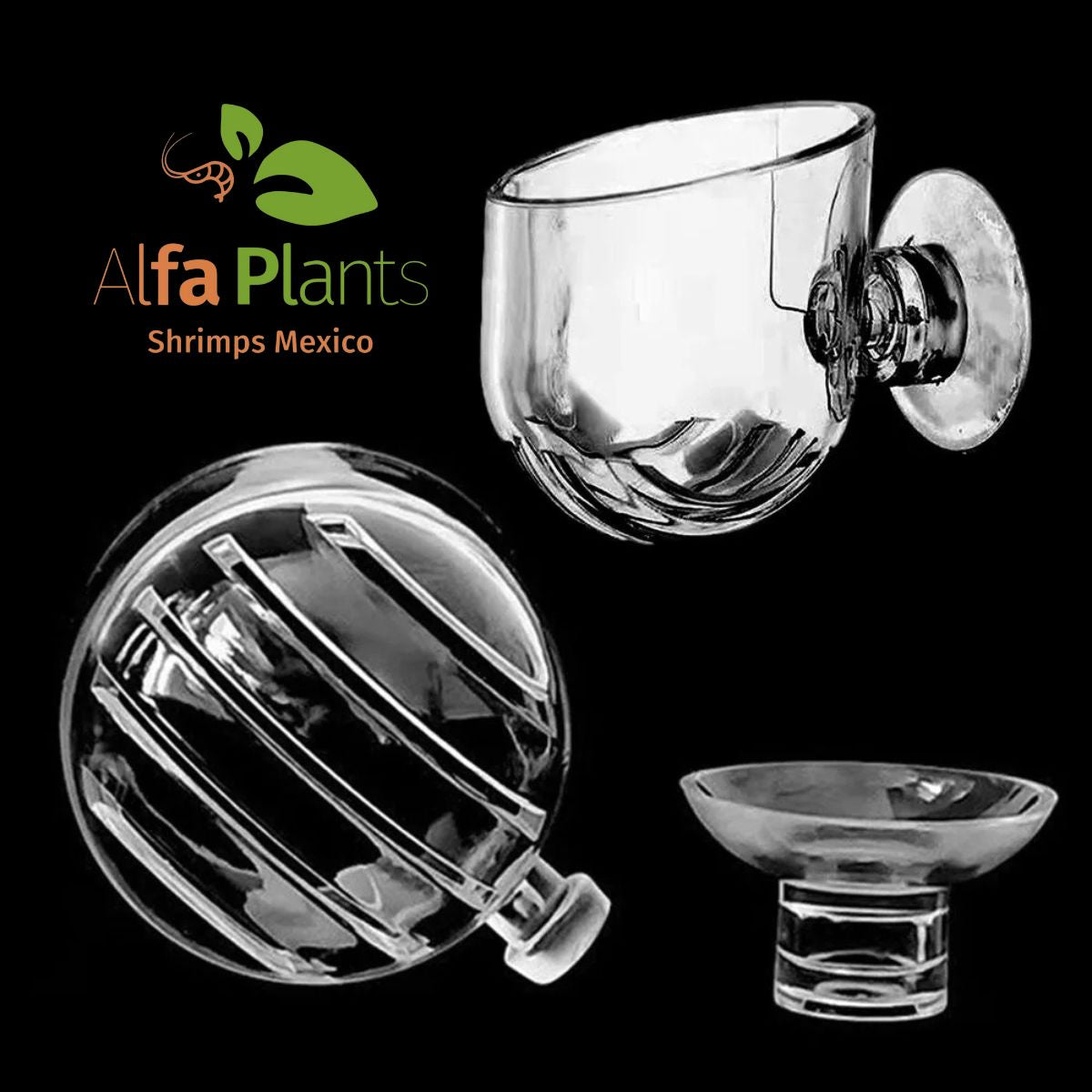 Glass Cup