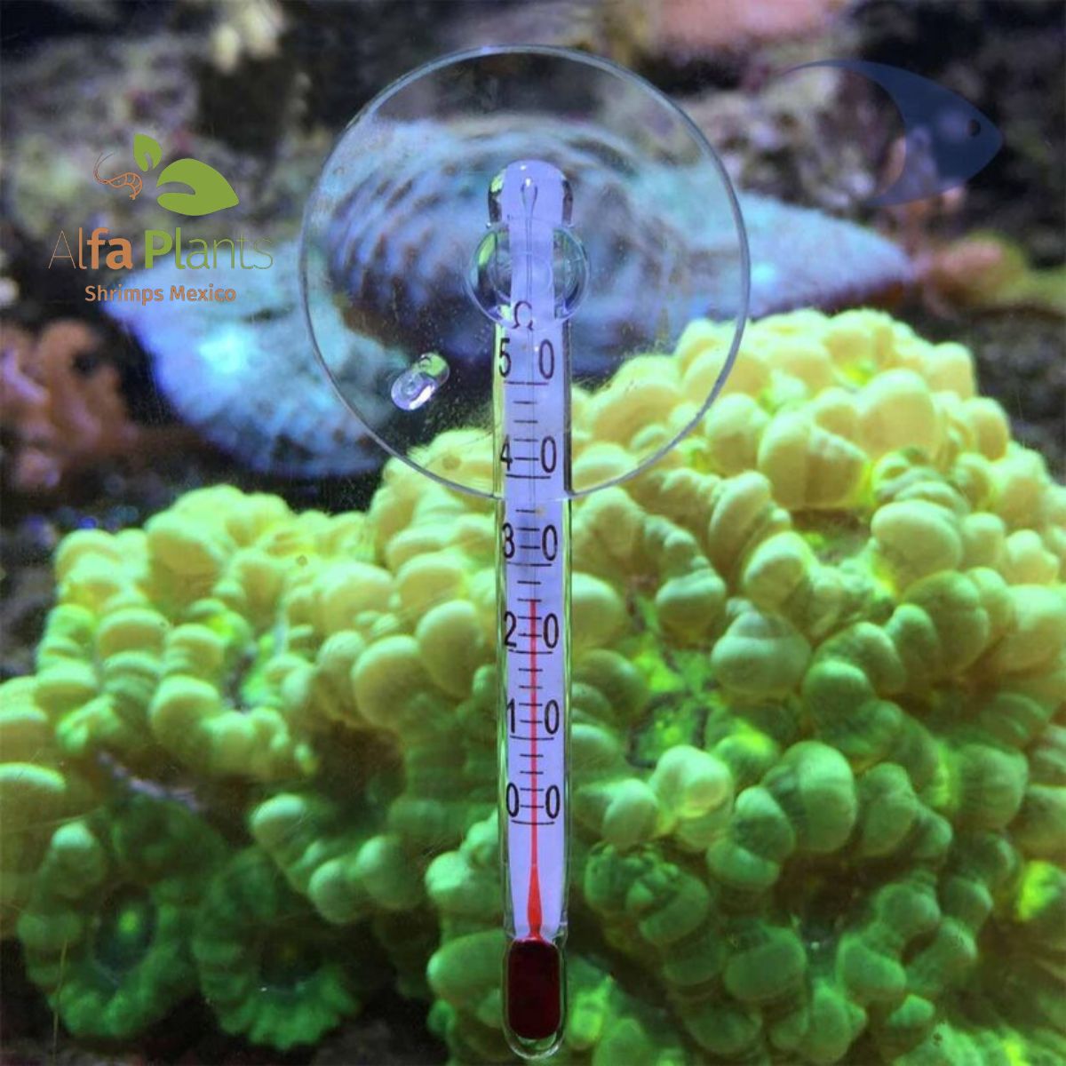 Mini Termómetro Para Acuarios Palm Azoo