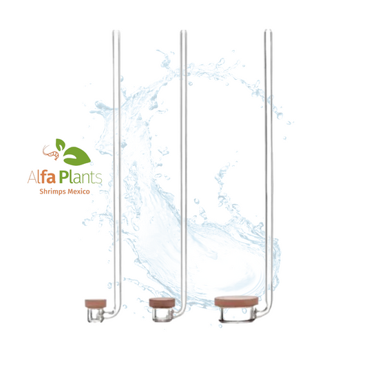 Neo Diffuser Special Normal Aquario