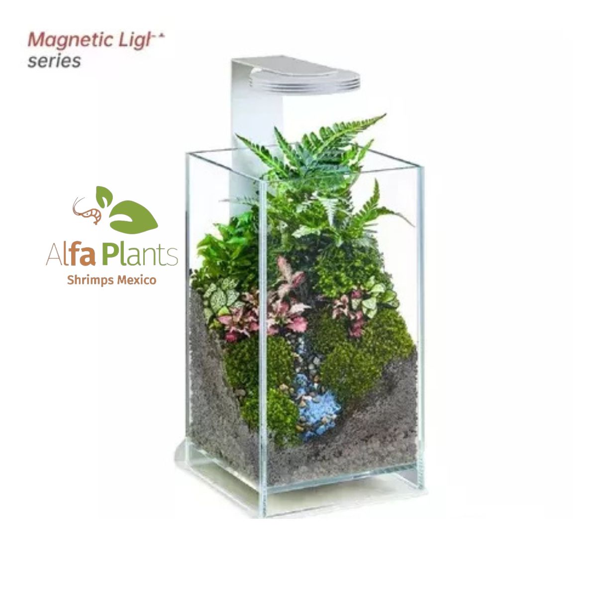 Pecera Glass Air