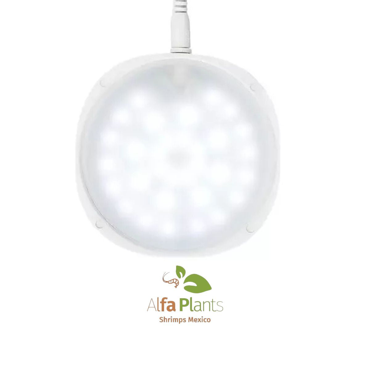 Pecera Glass Air