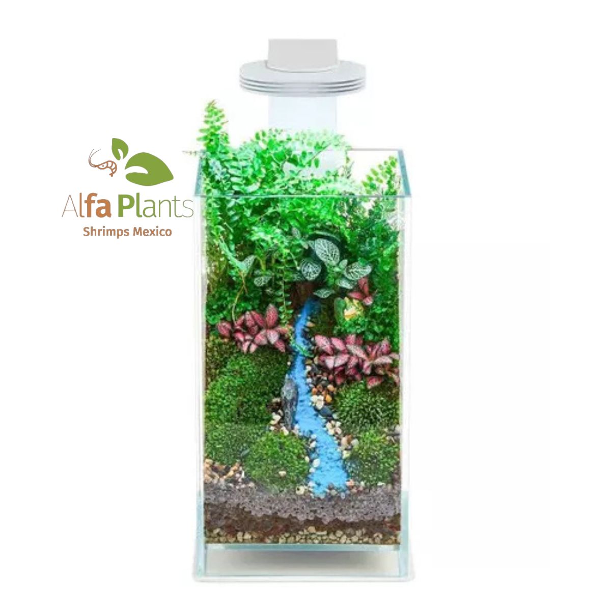 Pecera Glass Air