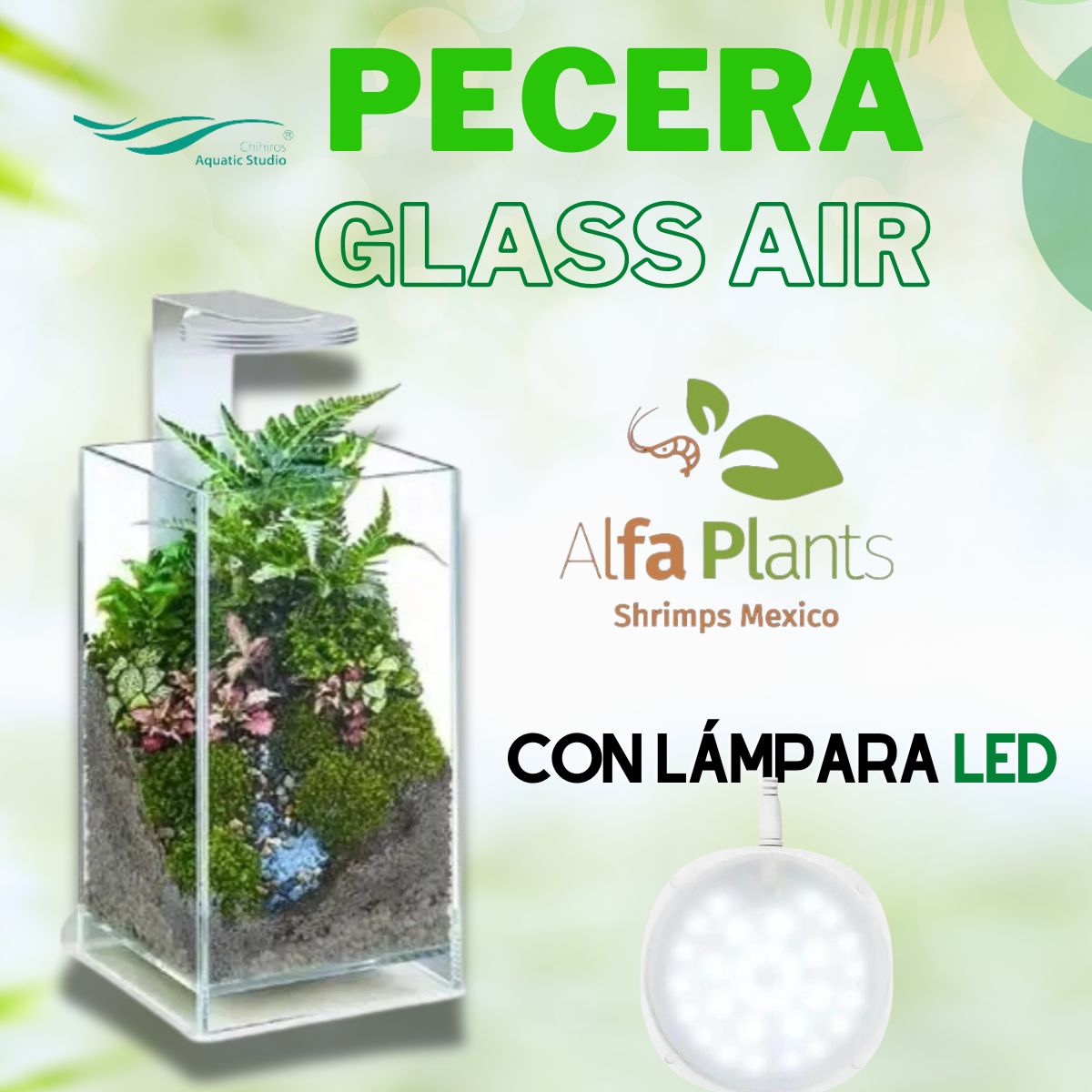 Pecera Glass Air