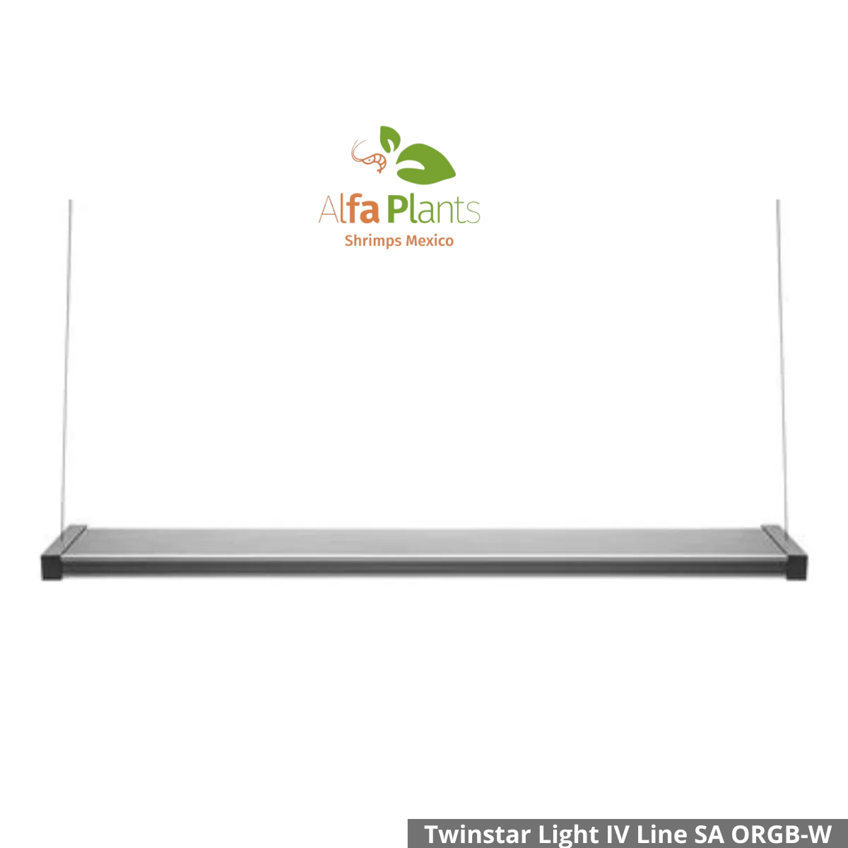 ️Twinstar Light IV Line SA ORGB-W