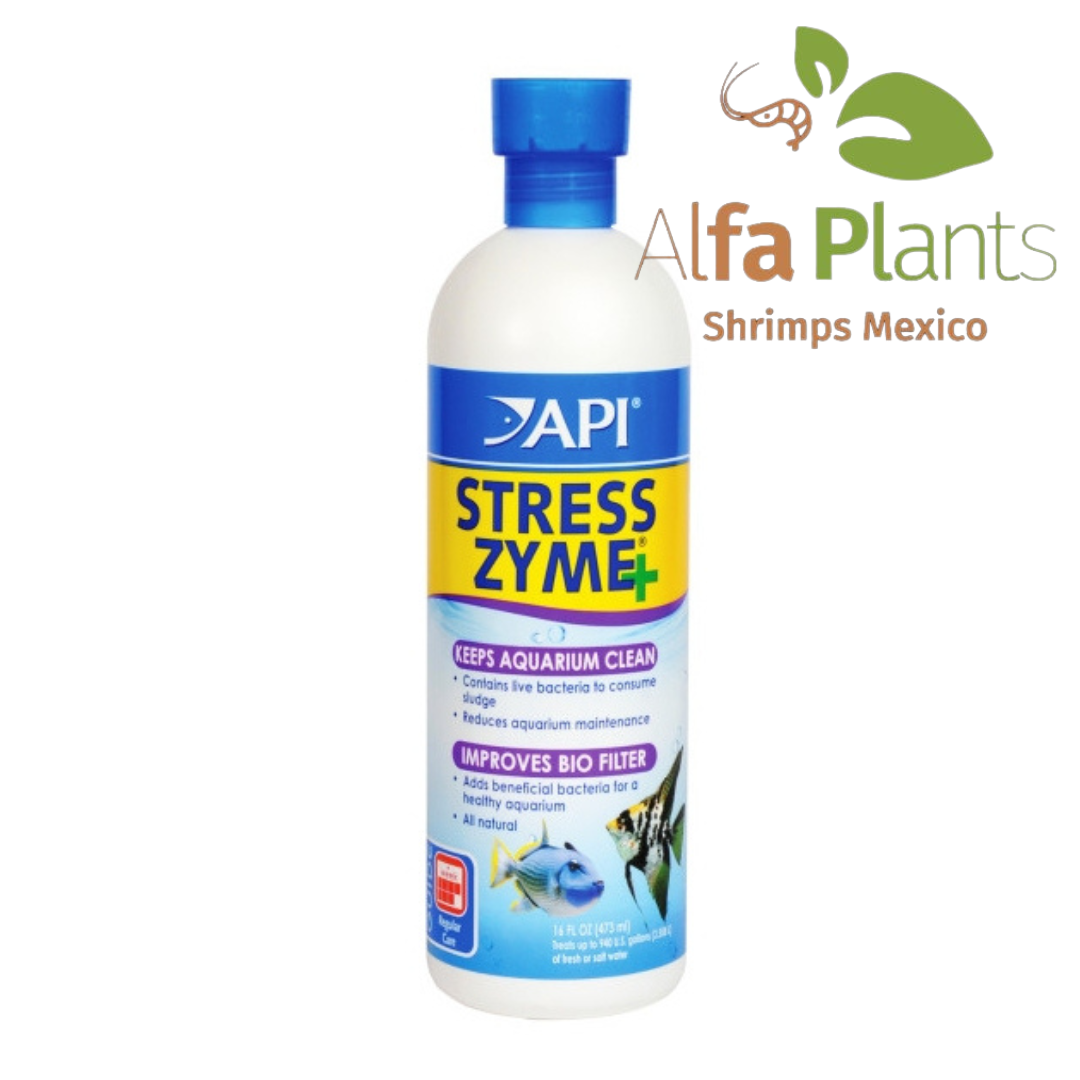 API STRESS ZYME