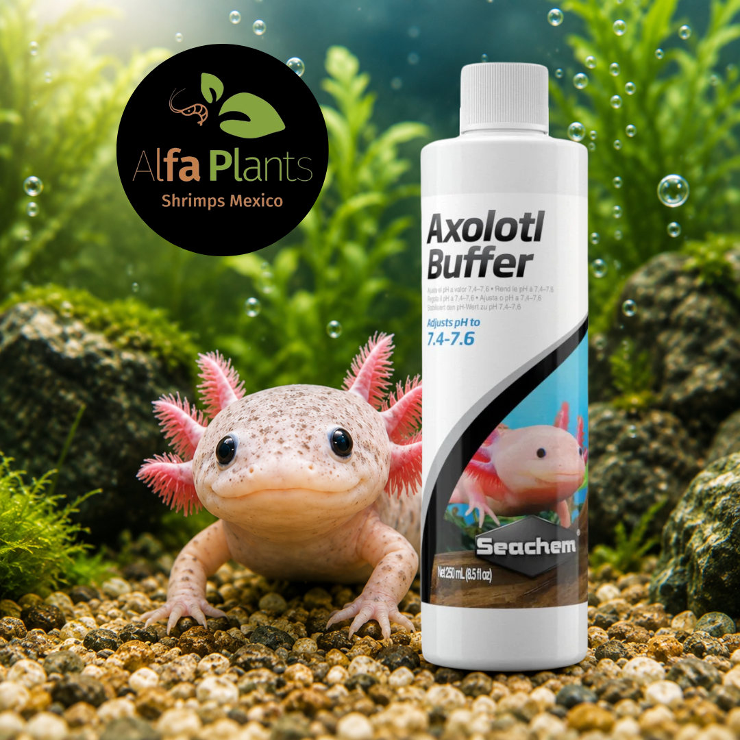 Axolotl Buffer