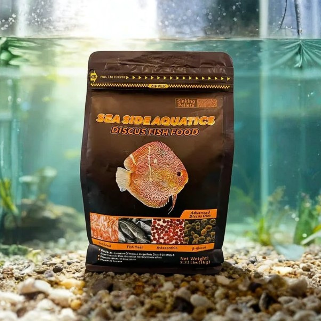 Sea Side Aquatics