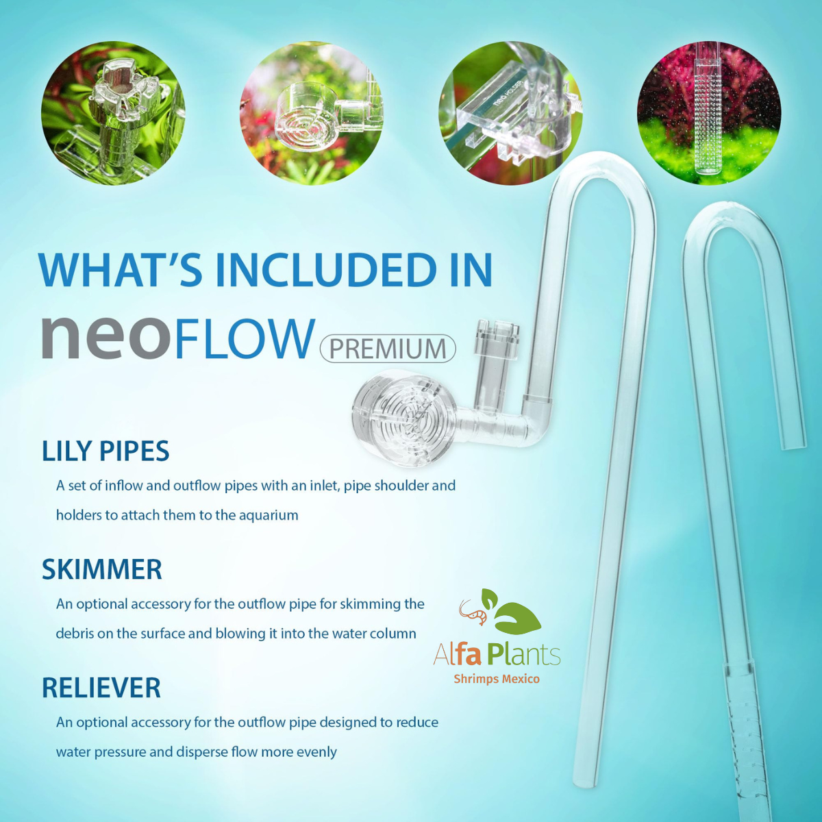 Neo Flow Premium Versión 2