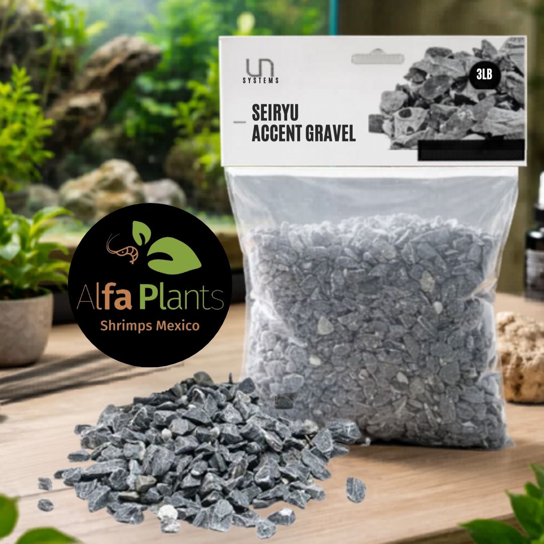Seiryu Accent Gravel