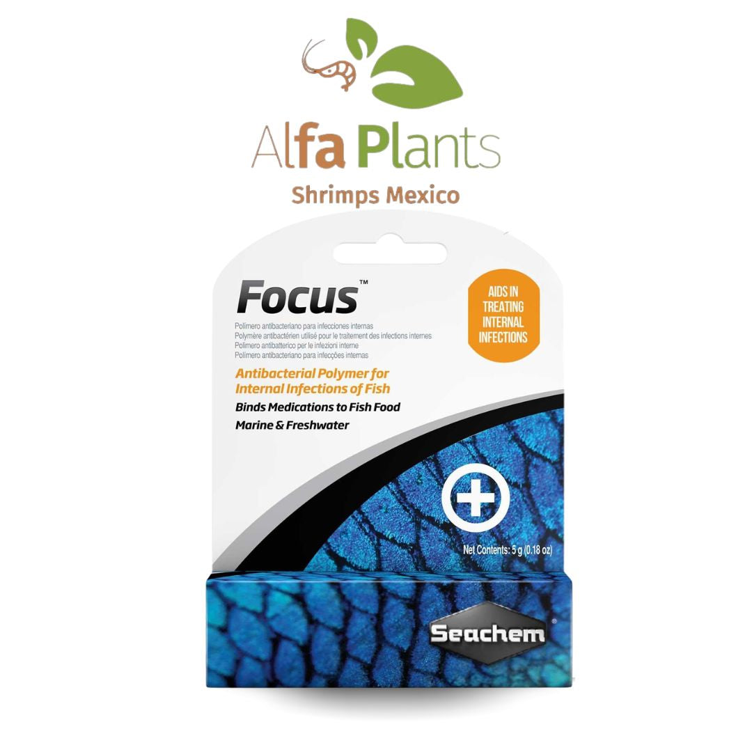 Focus Seachem