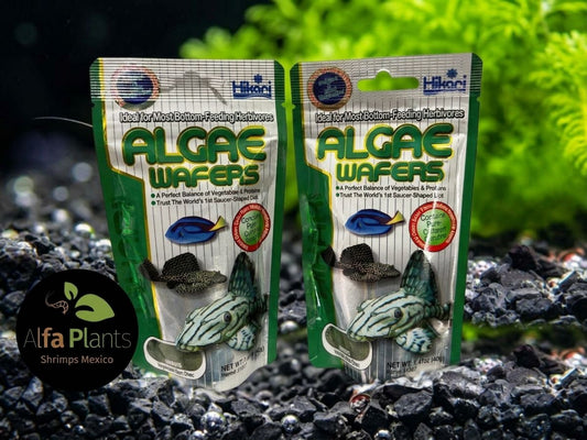 Hikari Algae Wafers: alimento para plecos y peces comealgas
