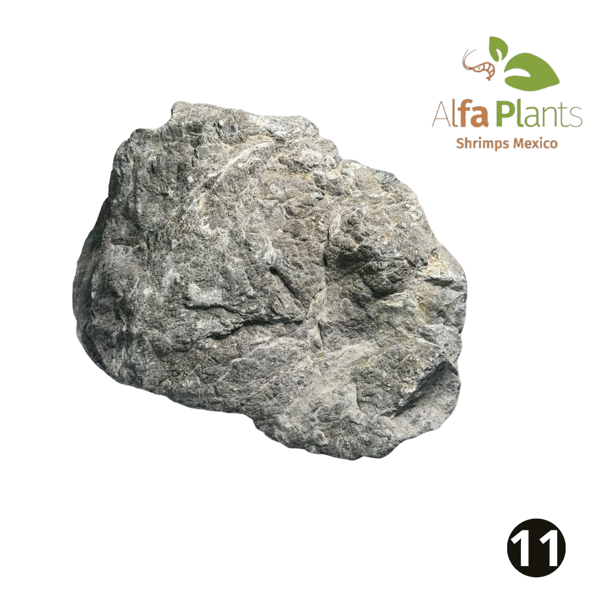Roca Piel de Elefante