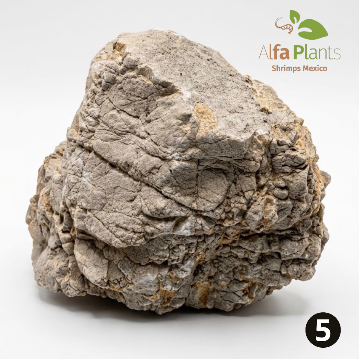 Roca Piel de Elefante