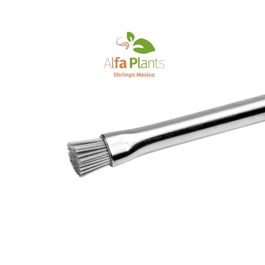 Cepillo para algas Aqua Worx