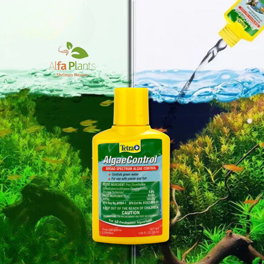 Tetra Algae Control