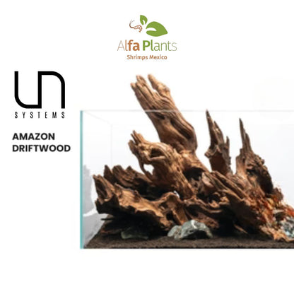 Amazon Driftwood