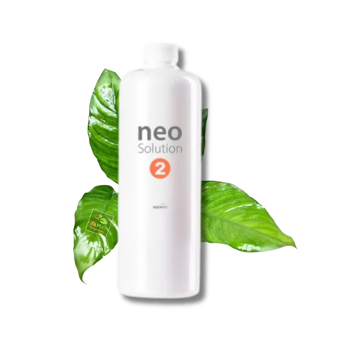 Neo Solution 2