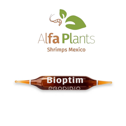 Biotim Bacteria Prodibio