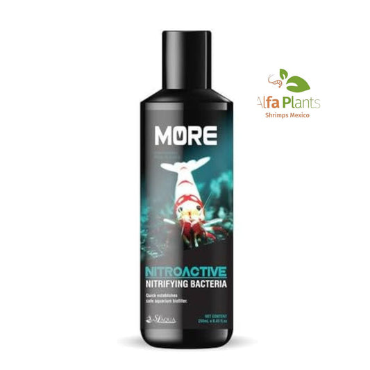 Black More Bacteria Nitrificante