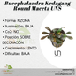 Bucephalandra Kedagang Round