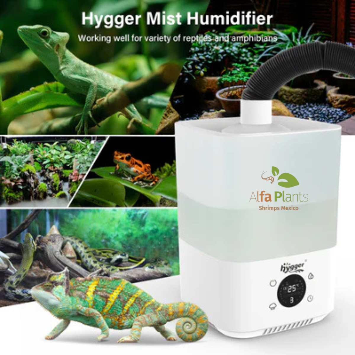 Humidificador Hygger