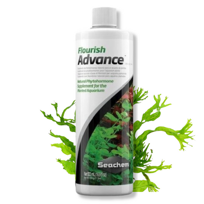 Flourish Advance