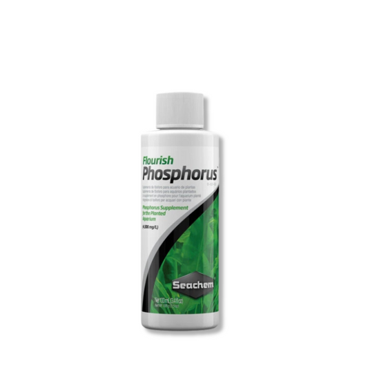 Flourish Phosphorus