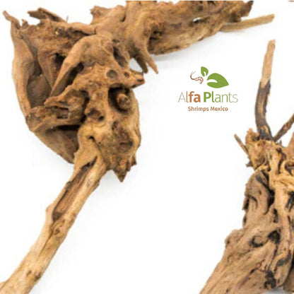 Amazon Driftwood